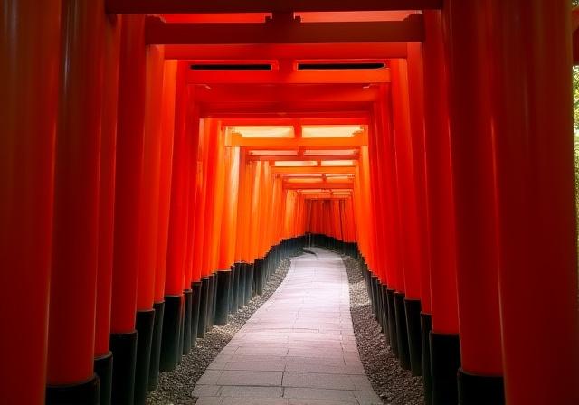 根津神社の千本鳥居を通る風景